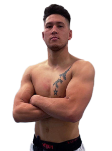 Gino van Steenis