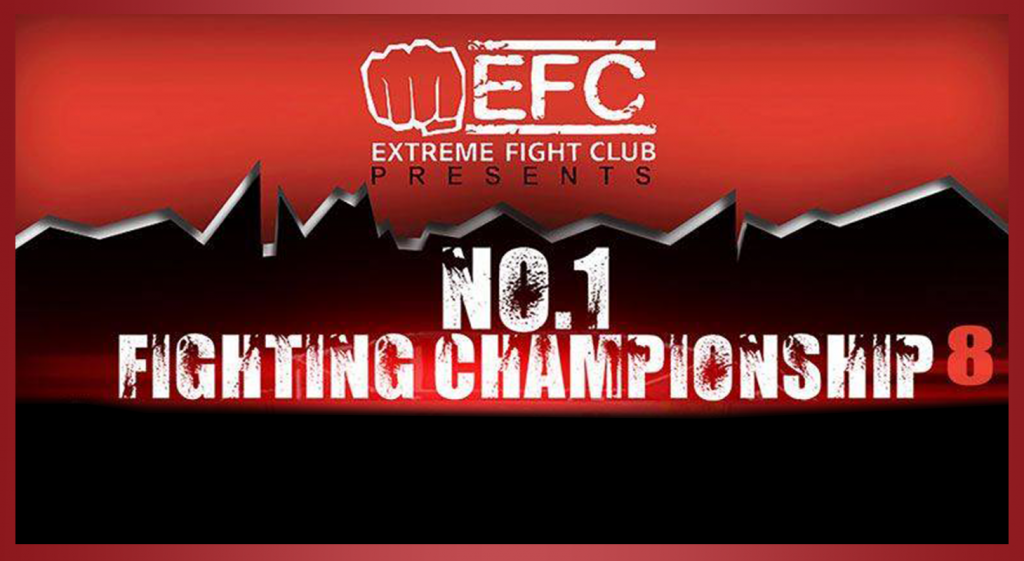 No.1 Fighting Championship 8