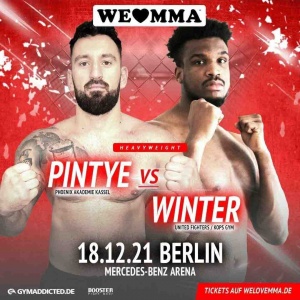 Poster We Love MMA 58