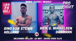 MMA Fight Night Poster