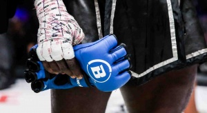 Melvin Manhoef verliest zijn laatste MMA partij in Dublin