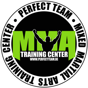 Perfect Team MMA logo
