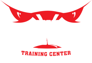 Team Thriving logo