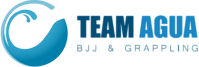 Team Agua logo